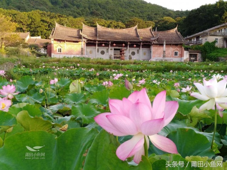 莆田城厢区5大景区攻略温泉竹筏和瀑布肯定有一款你喜欢！